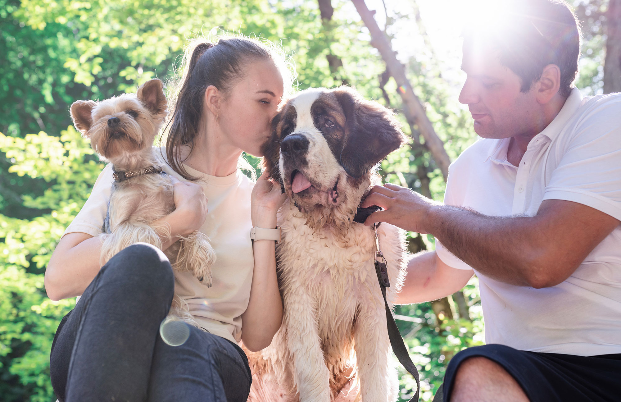 Mann und Frau streicheln Hunde im Freien